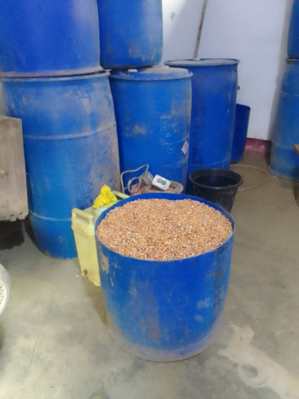 Maize storage